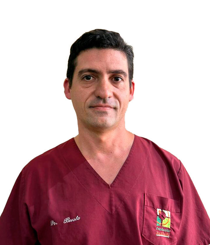 Dario       Busto